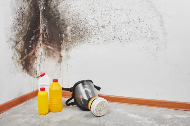 Best Commercial Mold Removal  in Presidential Lakes Estates, NJ