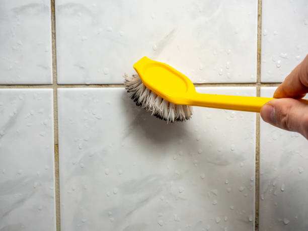 Home Mold Removal in Presidential Lakes Estates, NJ