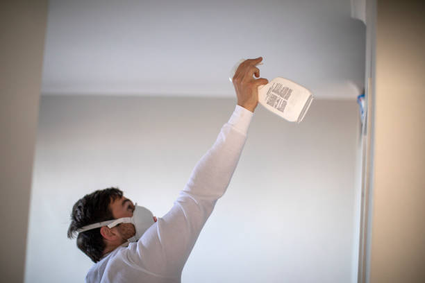 Best Attic Mold Removal  in Presidential Lakes Estates, NJ