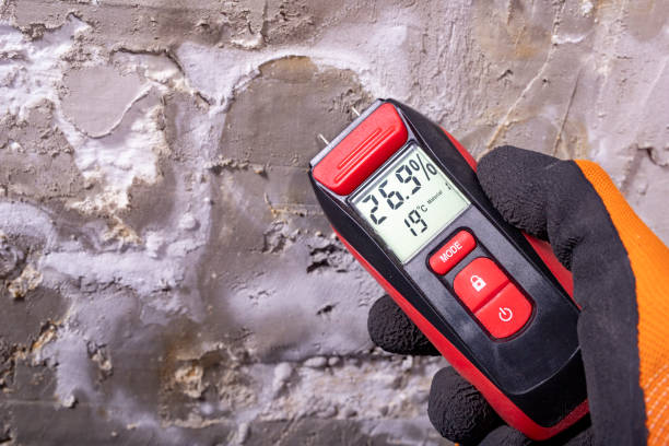 Best Crawl Space Mold Removal  in Presidential Lakes Estates, NJ