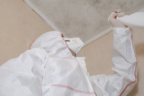 Office Mold Removal Services in Presidential Lakes Estates, NJ